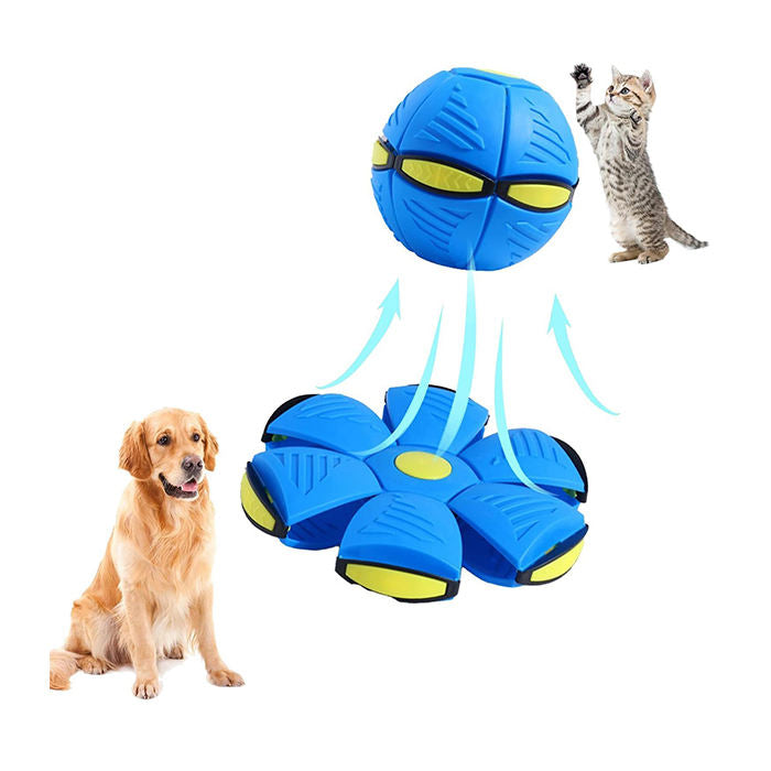 Dog indoor & outdoor lightning Saucer ball